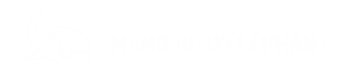 logo blanc fond transparent horizontal